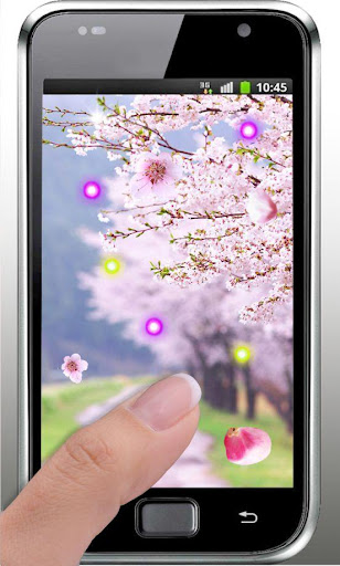 【免費個人化App】Sakura Free live wallpaper-APP點子