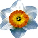 Gallery viewer logo