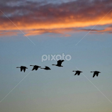 Up Where We Belong by Winkie Chau -  