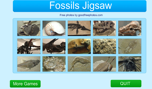 Fossils Jigsaw