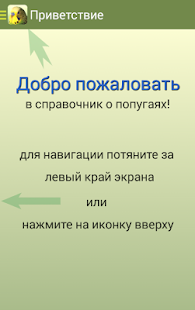 Попугаи(圖2)-速報App