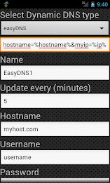 Dynamic DNS Update poster 2