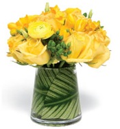 daffodils yellow freesia
