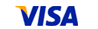Visa Credit Card Logo