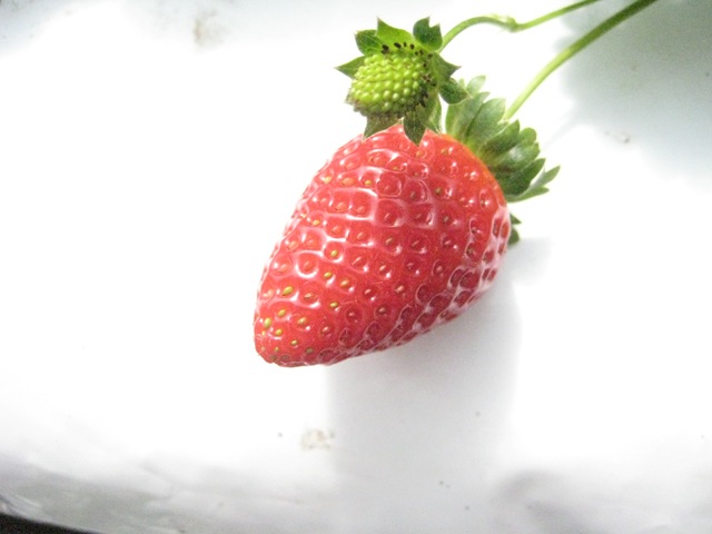 [IMG_10422.jpg]