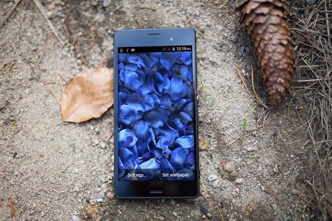 Free Blue Rose HD LiveWallpaper APK