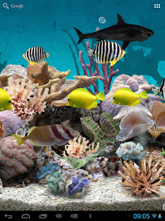 3D Aquarium Live Wallpaper(圖4)-速報App