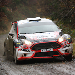 WRC Wales by John Cooper - Sports & Fitness Motorsports