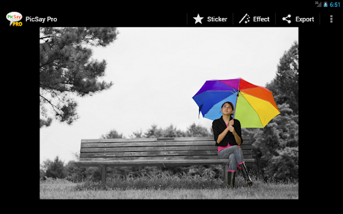   PicSay Pro - Photo Editor- screenshot thumbnail   