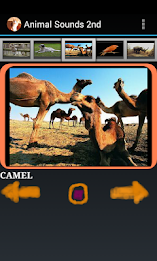 Free Animal Sounds Beta poster 4