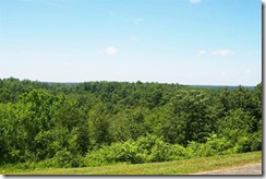 IMGP0014