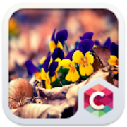 Crystal Flower Clauncher Theme  Icon