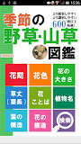 季節の野草・山草図鑑