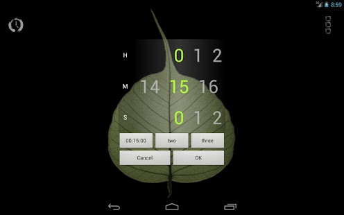 Bodhi Timer