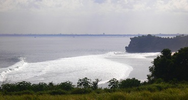 golfinbali03