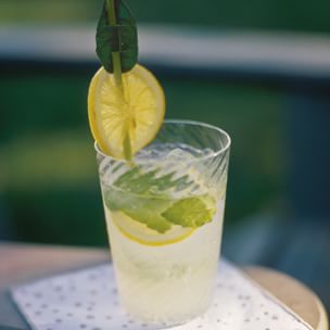 10 Best Sparkling Water With Fruit Juice Recipes