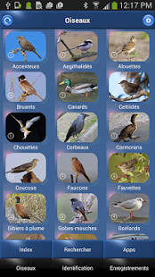 Oiseau Id: Oiseaux de France