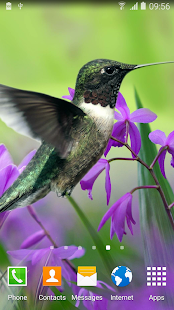 How to install Hummingbirds Live Wallpaper 1.0.3 mod apk for bluestacks
