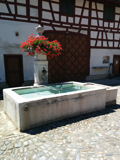 Brunnen Rudolfingen