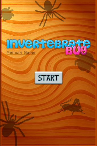 Invertebrate Bug Memory Game