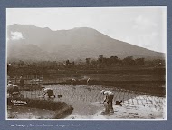 Boeren aan het werk op een rijstveld, op de achtergrond de bergen van Sumatra