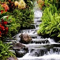 3D Creek