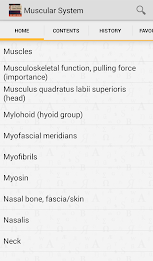 Muscular System Manual poster 6