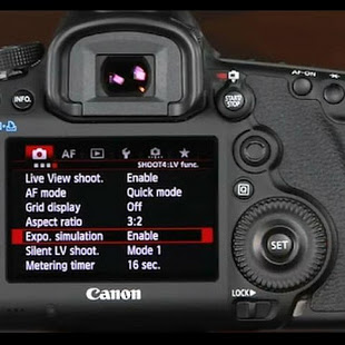 Canon 5d Mark Iii Guide