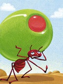 [Ant9[2].jpg]