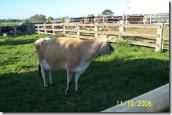 CowatRuthFarm