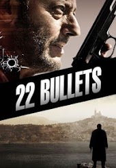 22 Bullets