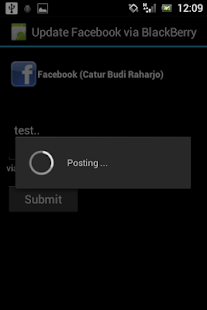 Update Facebook via Blackberry - screenshot thumbnail