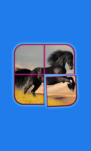 Horse Puzzle Games for Girls