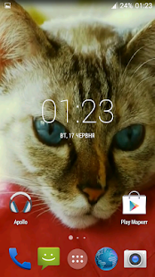 Beautiful Cat Video Wallpaper(圖1)-速報App