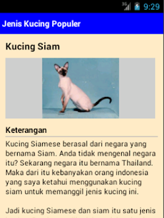 Lastest Jenis Kucing Populer APK
