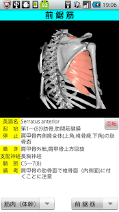 3D解剖学(圖2)-速報App