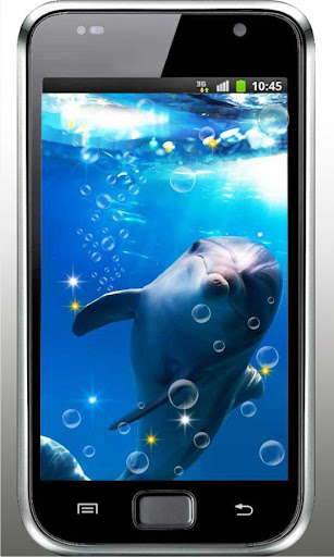 Dolphin Sea HQ live wallpaper