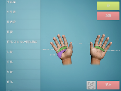 Drag&Drop Reflexology (hands)(圖2)-速報App