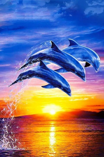 Dolphin Wallpaper 3D FREE