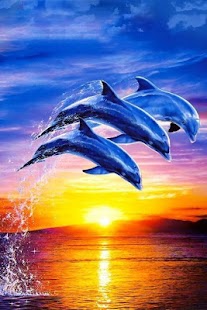 Free Dolphin Wallpaper 3D FREE APK