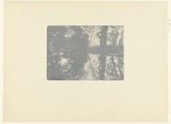 Landschap met bomen aan waterkant