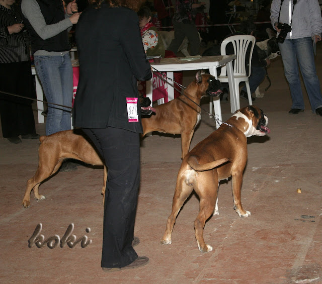 http://lh3.ggpht.com/koki.villi/SA0HHoZnp6I/AAAAAAAAJE0/pzMKqzZ613s/%D0%BC%D0%BE%D0%BD%D0%BE%20%D0%B2%D0%B0%D0%BD%D0%B6%D0%B0%201%20%2836%29.jpg?imgmax=640