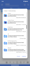 FV File Pro 3