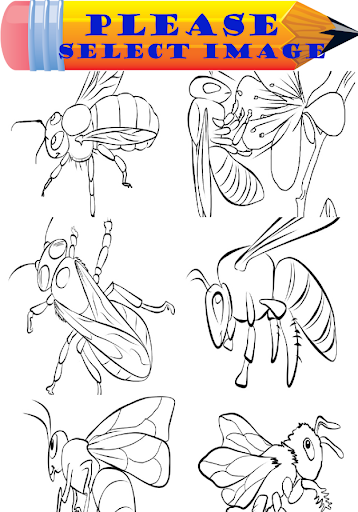 Baby Bee Coloring Book