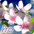 Spring Flowers 3D Parallax Pro1.0.4 (Patched)