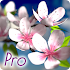 Spring Flowers 3D Parallax Pro1.0.4 (Patched)