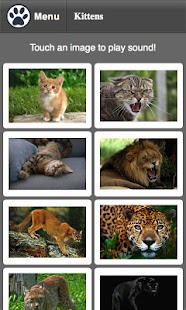 How to install Pussy patch V5.0.3 apk for laptop