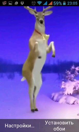 Dancing deer Live Wallpaper