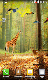 download Forest HD Live Wallpaper free