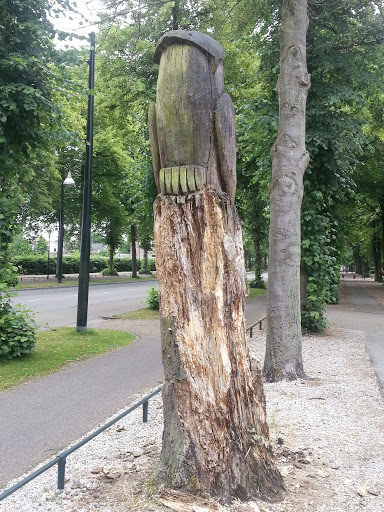 Uil van oude boom